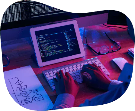 Dive into the world of web development with us 